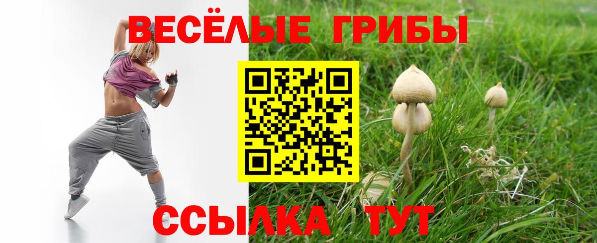 Сегежа  Галлюциногенные грибы мухоморы  Вход с VPN 