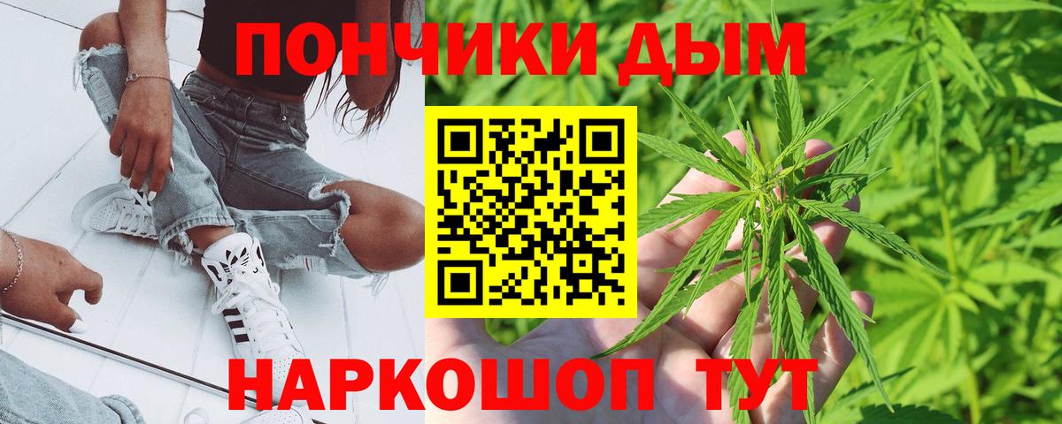 Шишки марихуана гибрид Сегежа